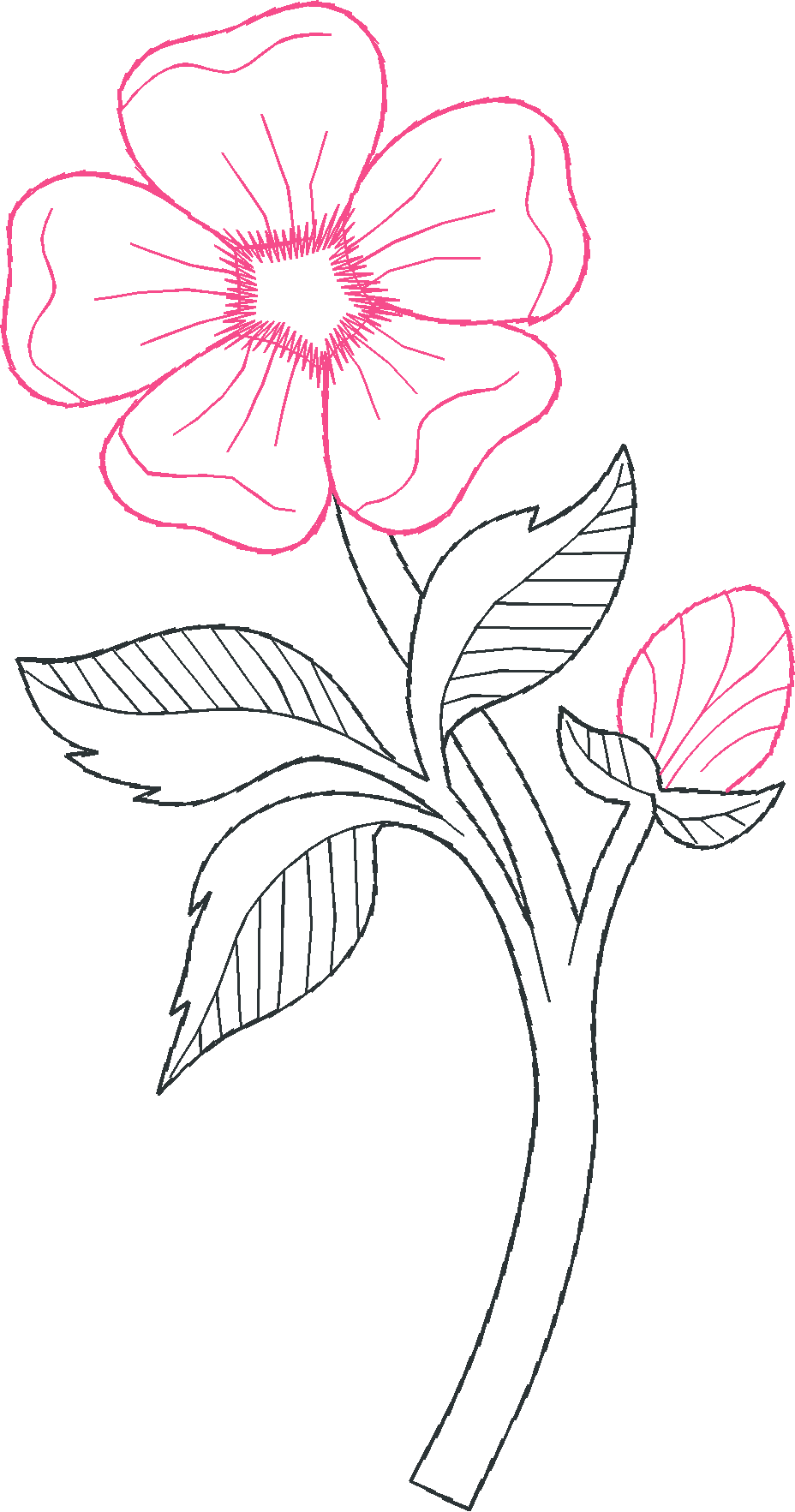 Floral 159 (51)