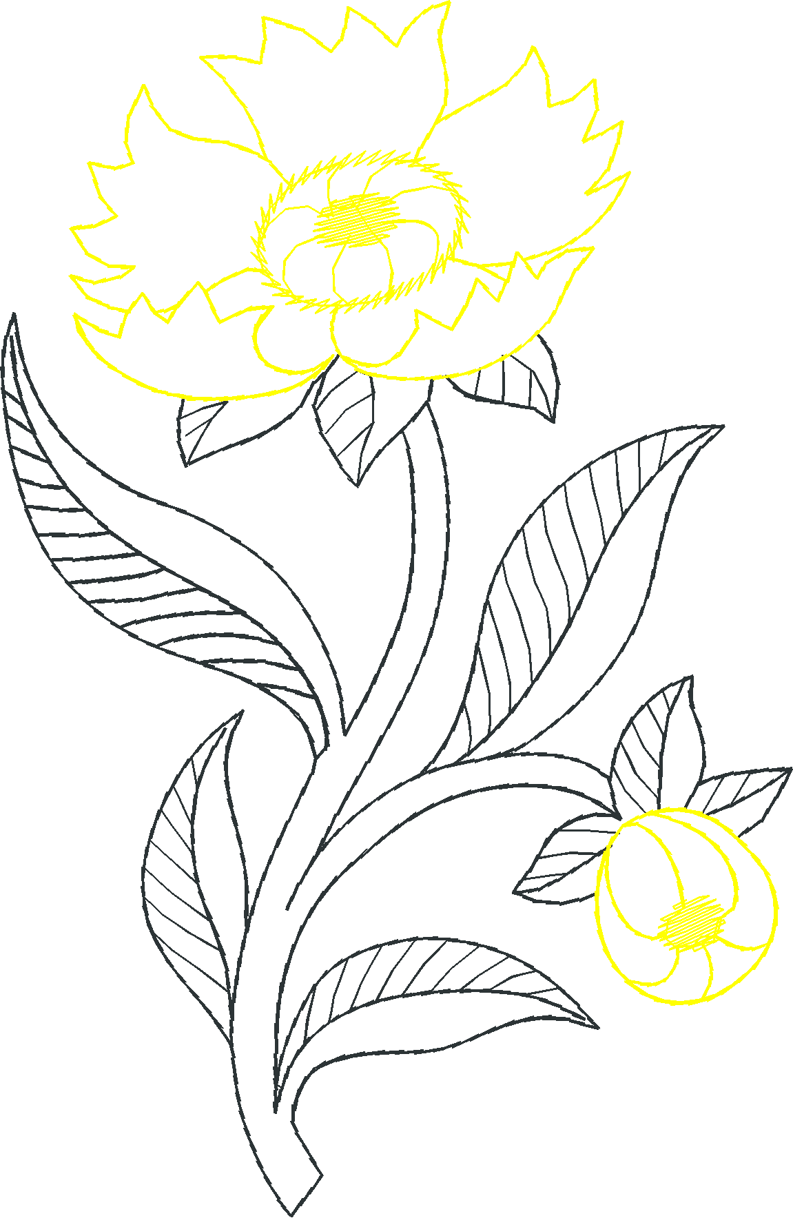 Floral 159 (54)