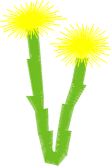 Floral 159 (78)