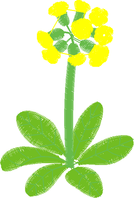 Floral 159 (83)