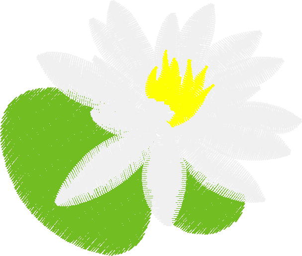 Floral 159 (86)