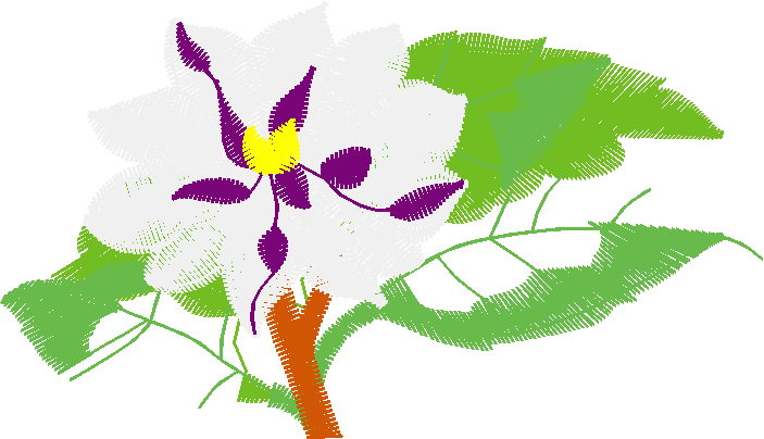 Floral 159 (92)