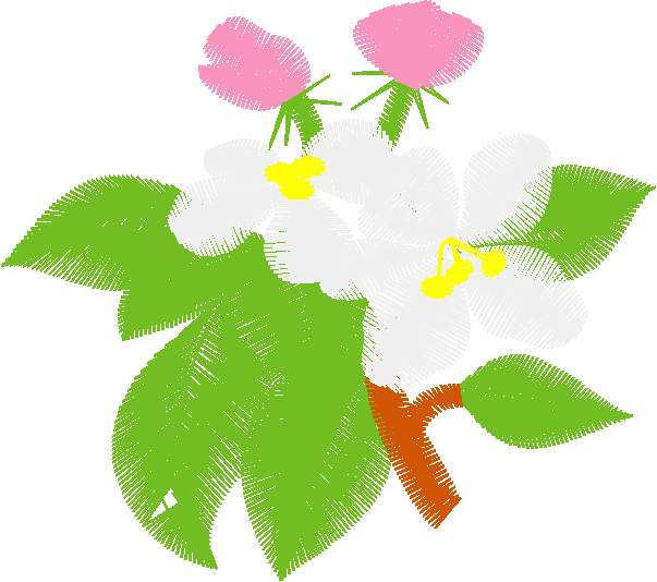Floral 159 (97)