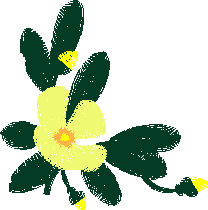 Floral 160 (25)