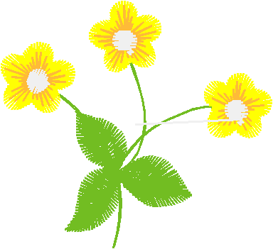 Floral 160 (42)
