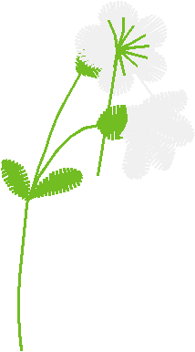 Floral 160 (49)