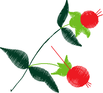 Floral 160 (53)