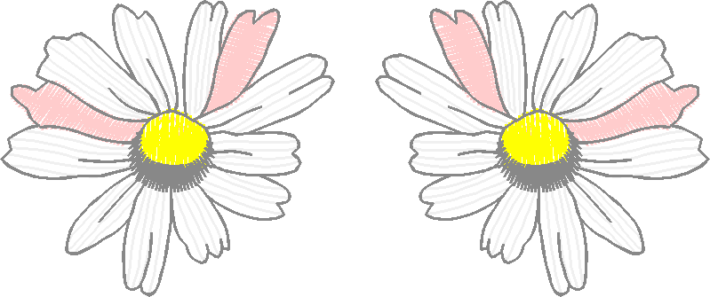 Floral 162 (68)