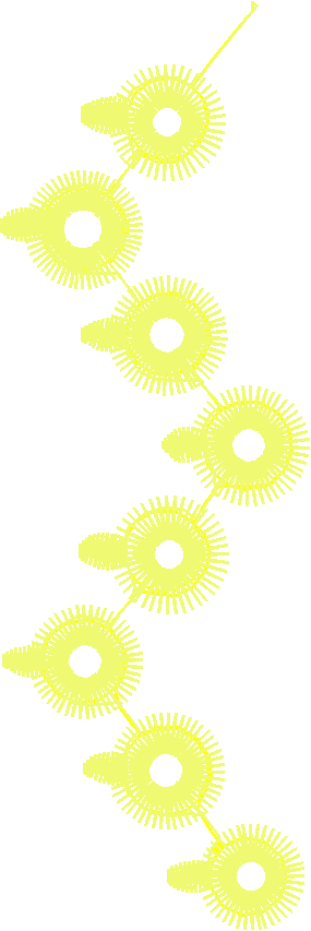 Floral 163 (36)