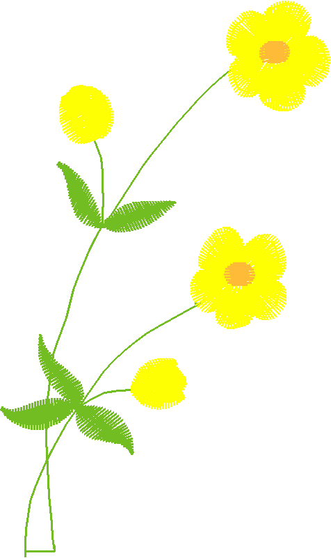 Floral 164 (38)
