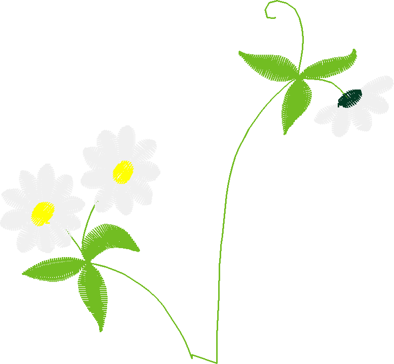 Floral 164 (46)