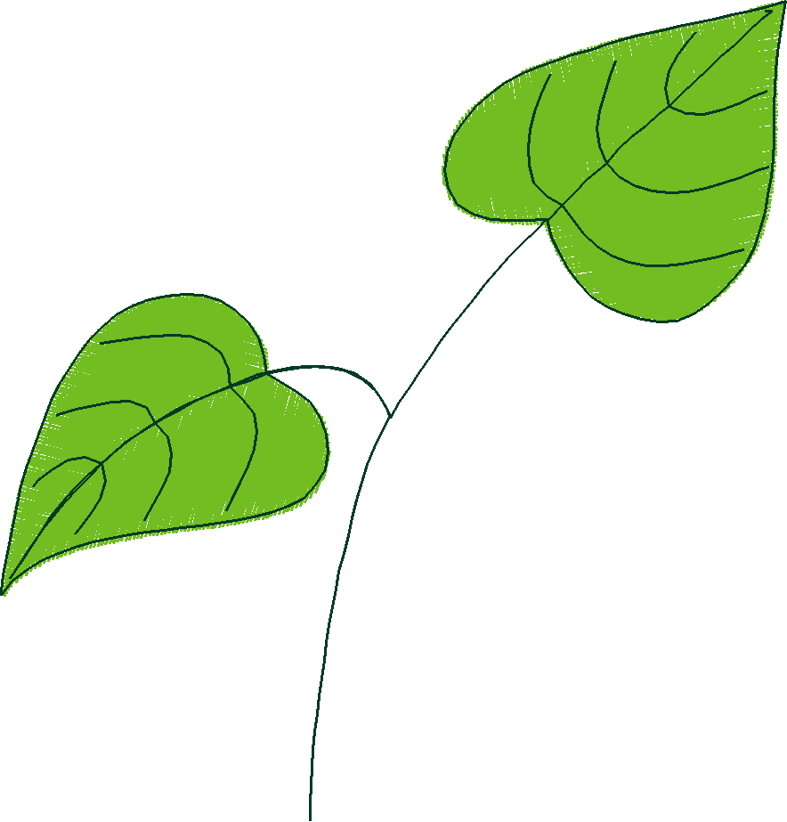 Floral 164 (51)