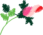 Floral 165 (99)