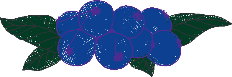 Floral 166 (22)