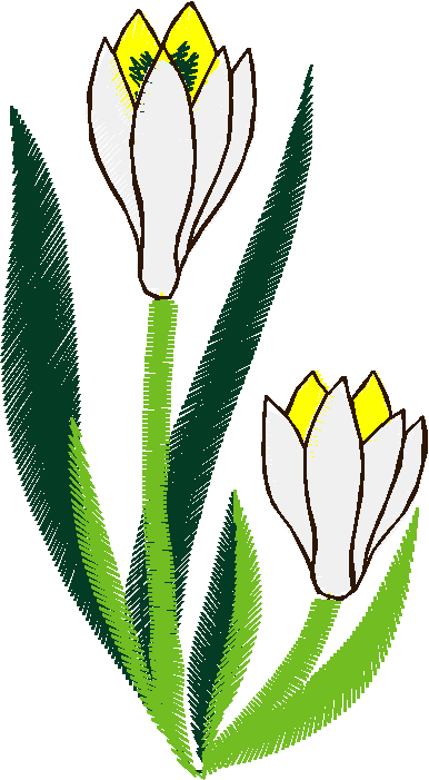 Floral 166 (38)