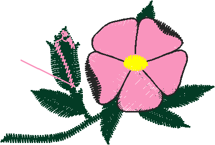 Floral 166 (4)
