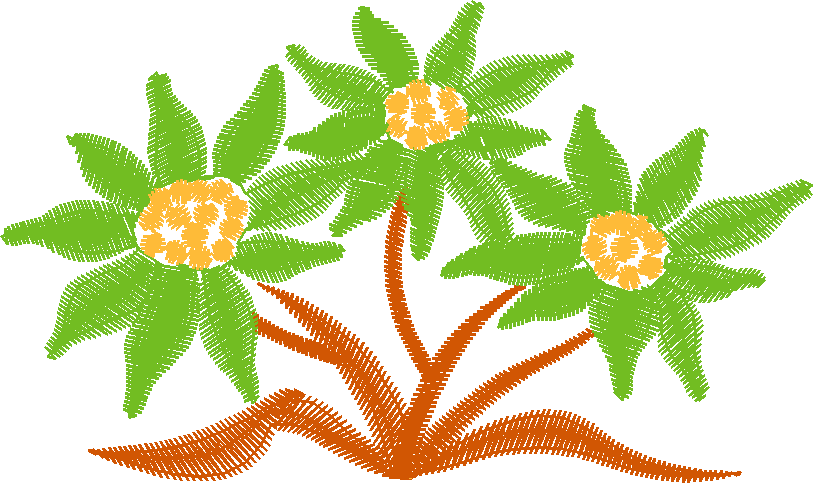 Floral 166 (78)