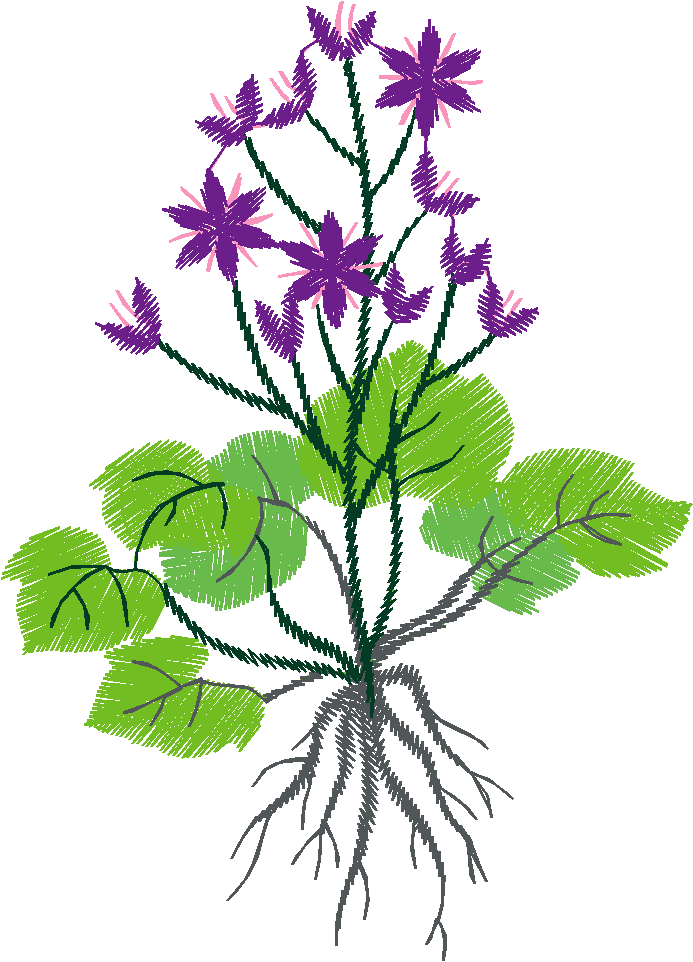 Floral 167 (12)