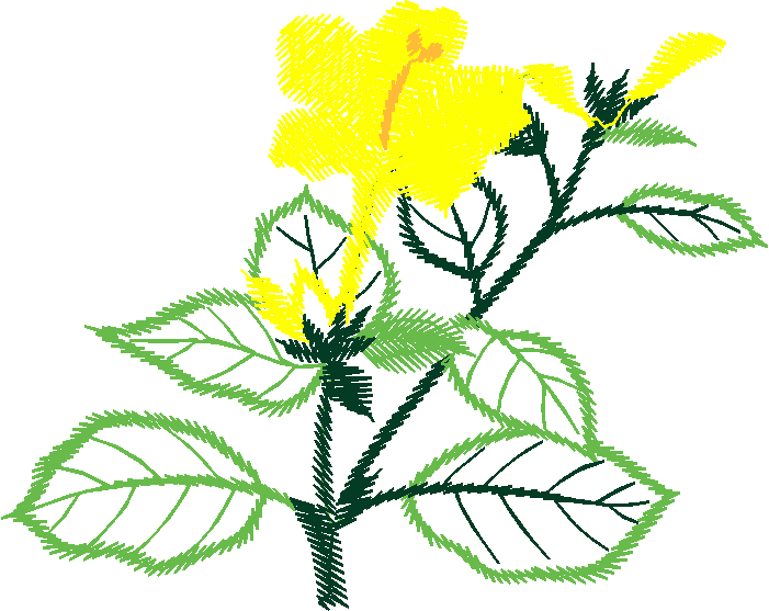 Floral 167 (33)