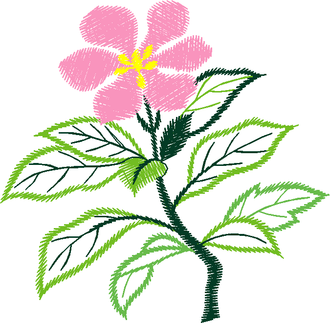 Floral 167 (34)