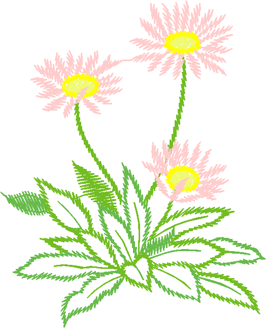 Floral 167 (36)