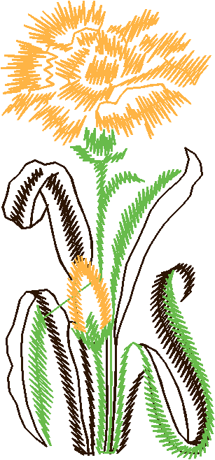 Floral 167 (37)