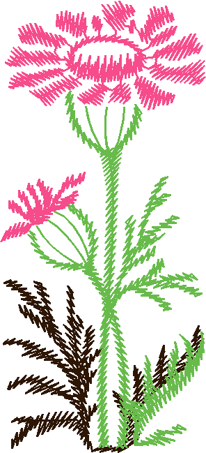 Floral 167 (38)