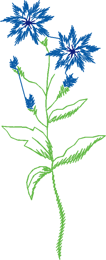 Floral 167 (41)