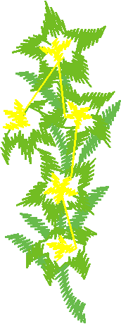 Floral 167 (58)
