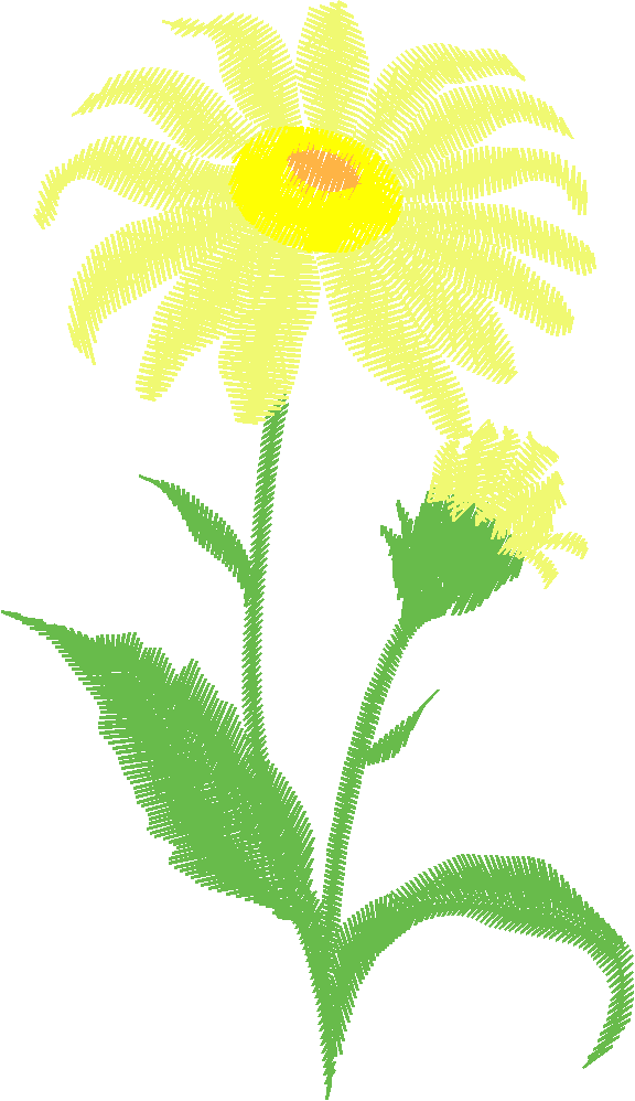 Floral 167 (64)