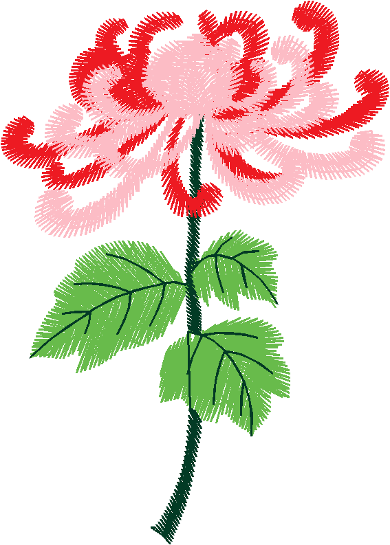 Floral 167 (66)