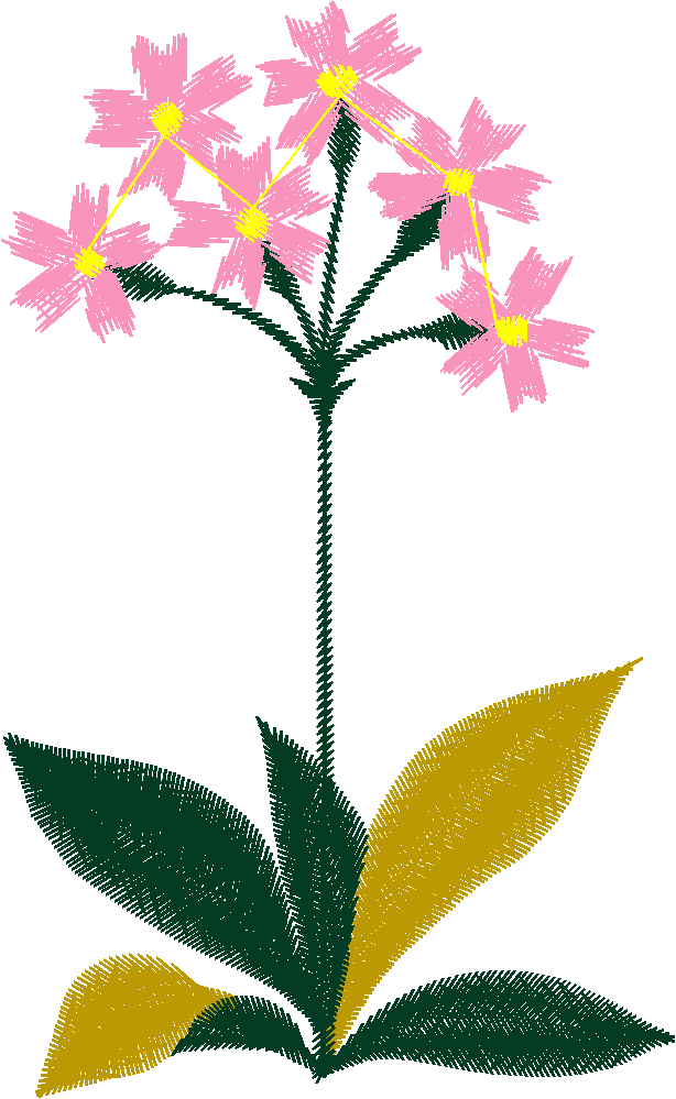 Floral 167 (71)