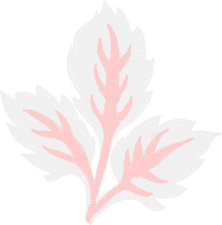 Floral 167 (95)