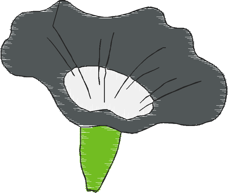Floral 168 (20)