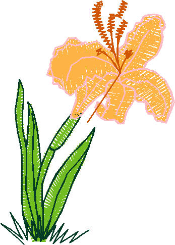 Floral 168 (29)
