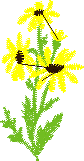 Floral 168 (30)