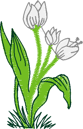 Floral 168 (32)