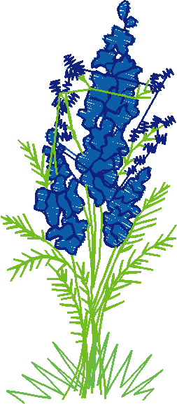 Floral 168 (33)