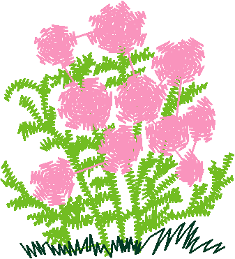 Floral 168 (35)