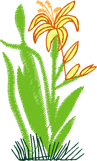 Floral 168 (38)