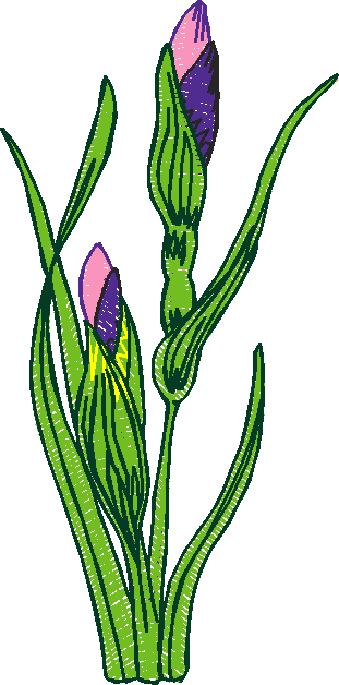 Floral 168 (44)