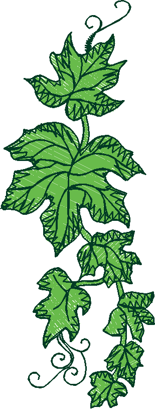 Floral 168 (48)