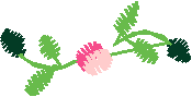 Floral 168 (84)