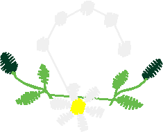 Floral 168 (90)
