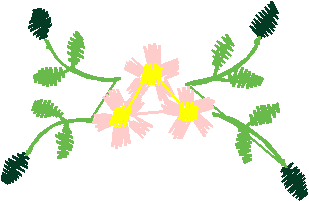 Floral 168 (94)