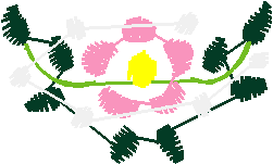 Floral 169 (10)