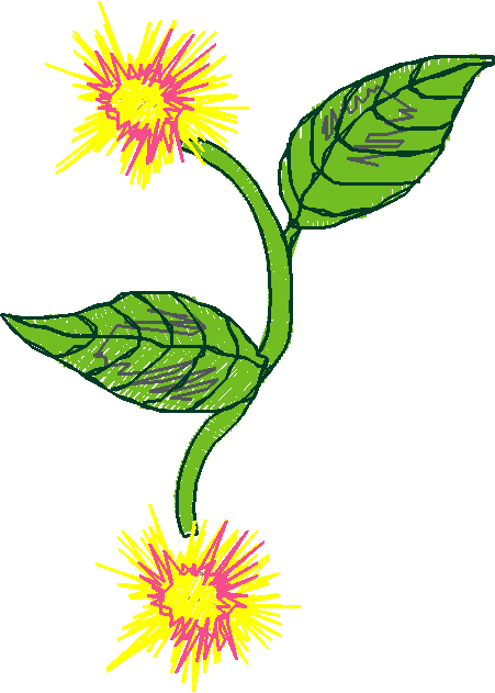 Floral 17  (1)
