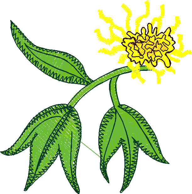Floral 17  (10)