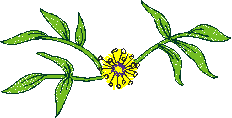 Floral 17  (11)