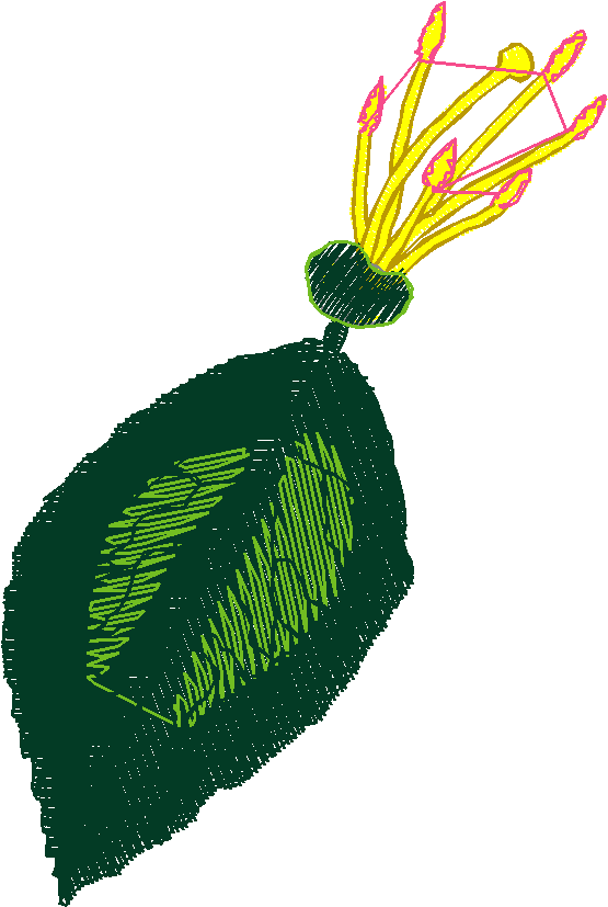 Floral 17  (13)